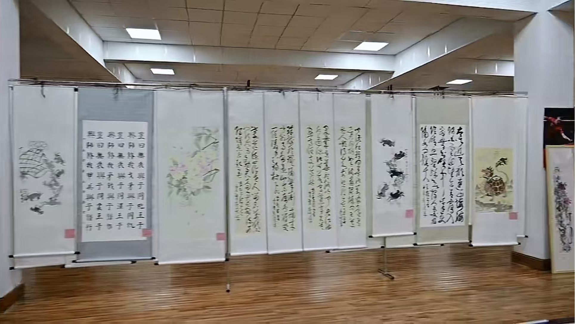 图片52.png